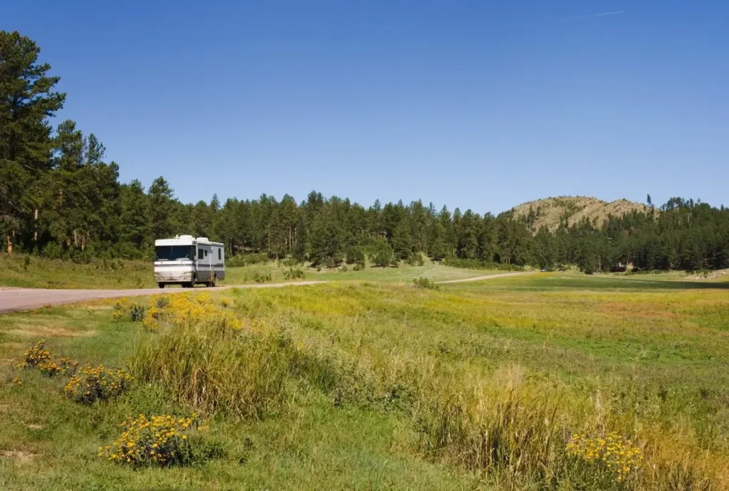 A person living in an RV in South Dakota driving through a breathtaking landscape in Curster National Park.