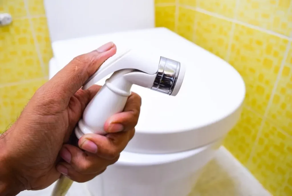 A hand holding one of the best RV bidets up to the camera with a toilet in the background.