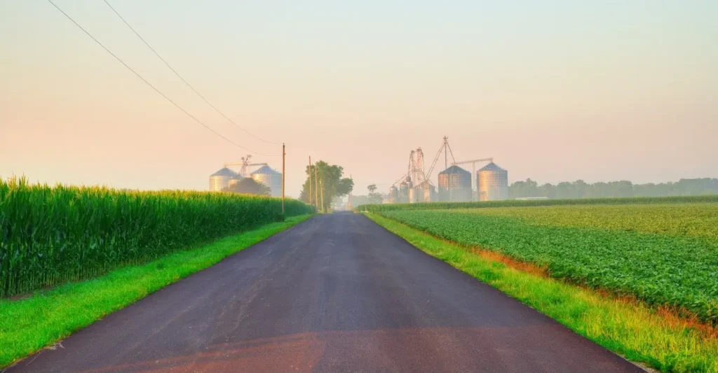 A long, straight road through rural farmland in Howard County, Indiana, at sunrise.