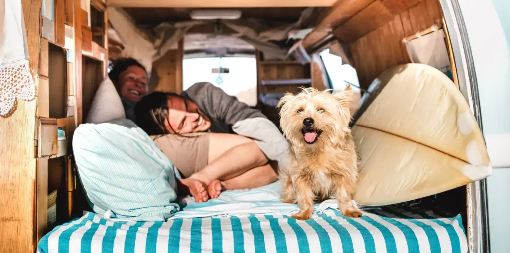 A smiling vanlife couple chilling on their replacement RV mattress with a very happy dog in the foreground.