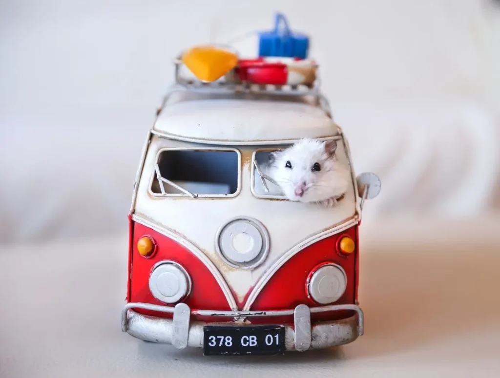 A mouse driving a very small used model of a Volkswagen van with all the its gear stashed on the roof racks.