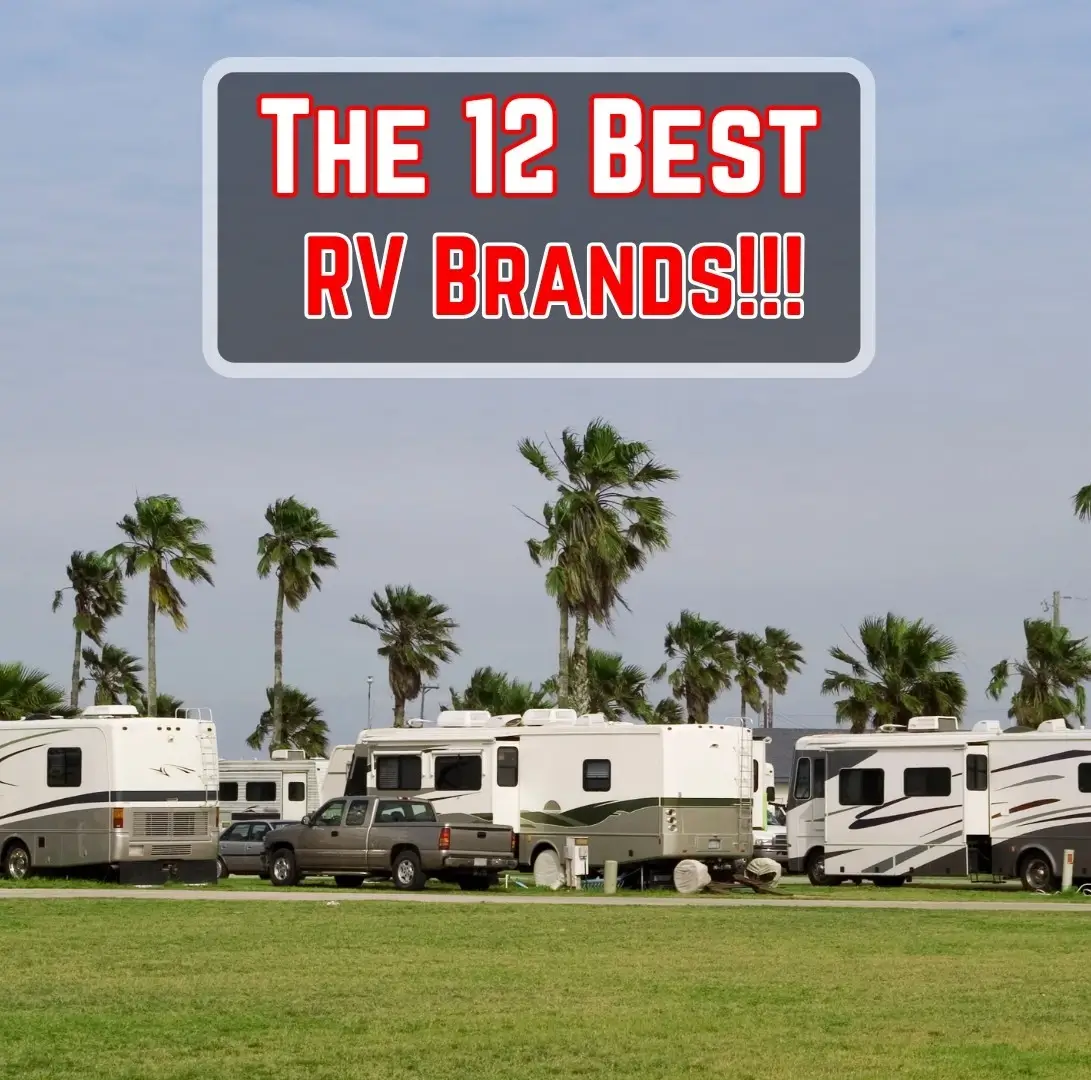 Several of the best class A motorhomes were parked at a campground surrounded by palm trees on a beautiful day.